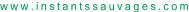 shapeimage_8_link_0