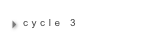 cycle 3