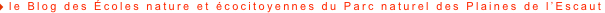 shapeimage_8_link_0